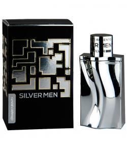 Perfume Silver Men Masculino Eau de Toilette 100ml Perfume Silver Men Masculino Eau de Toilette 100ml