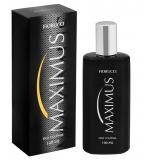 Perfume Maximus Fiorucci Masculino Deo Colônia 100ml Perfume Maximus Fiorucci Masculino Deo Colônia 100ml